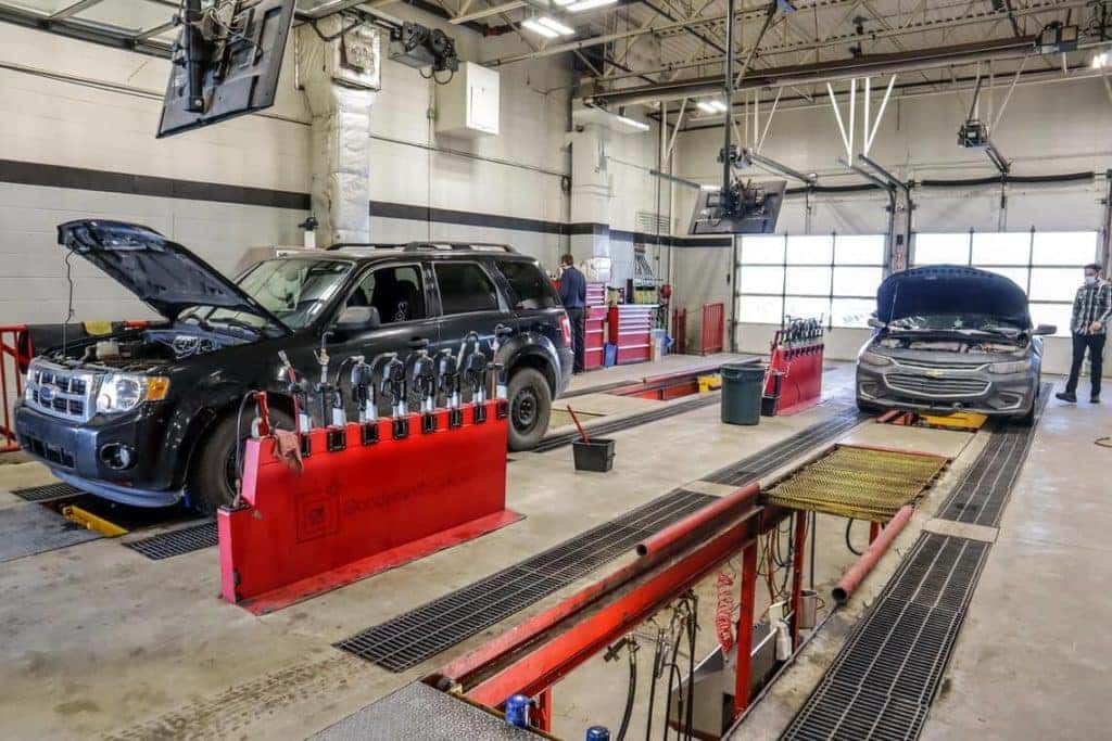 Cars with open hoods in an auto repair garage, technicians inspecting vehicles.