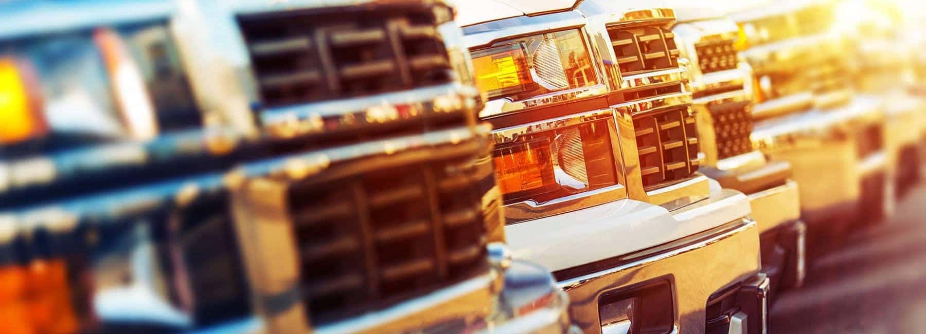 Row of parked trucks with shiny grills and headlights reflecting sunlight.